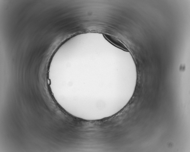 X0000103260241200809191725