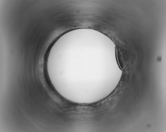 X0000103260242200809191725