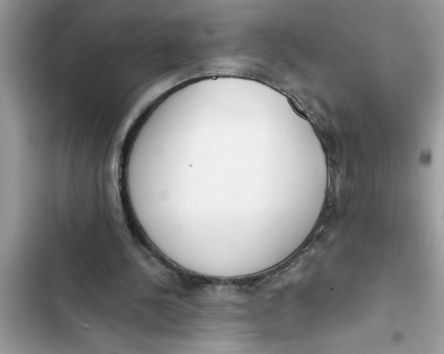 X0000103260244200809191725