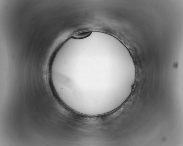 X0000103260245200809191725