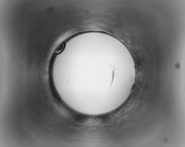 X0000103260248200809191725