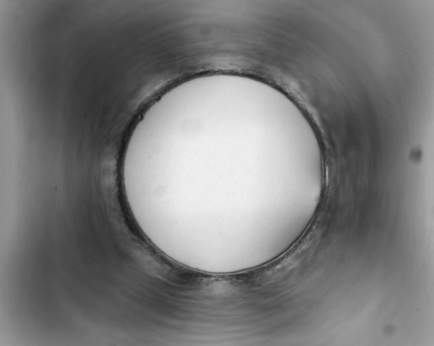 X0000103260249200809191725