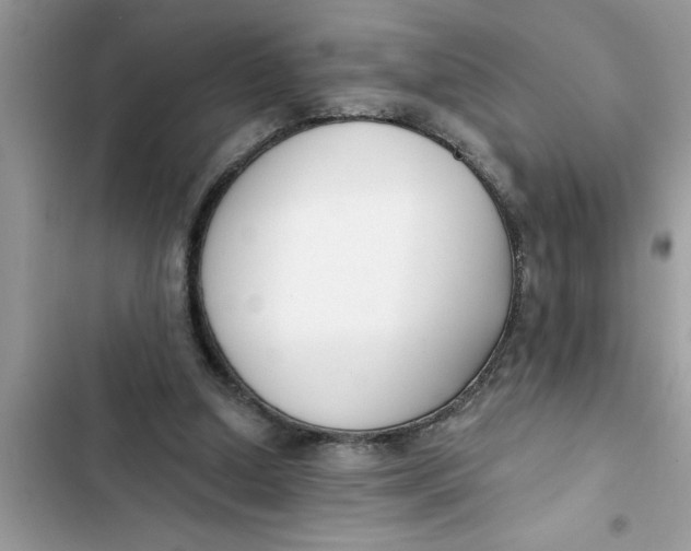 X0000103260250200809191725