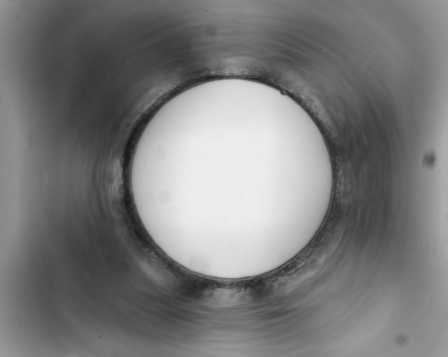 X0000103260251200809191725