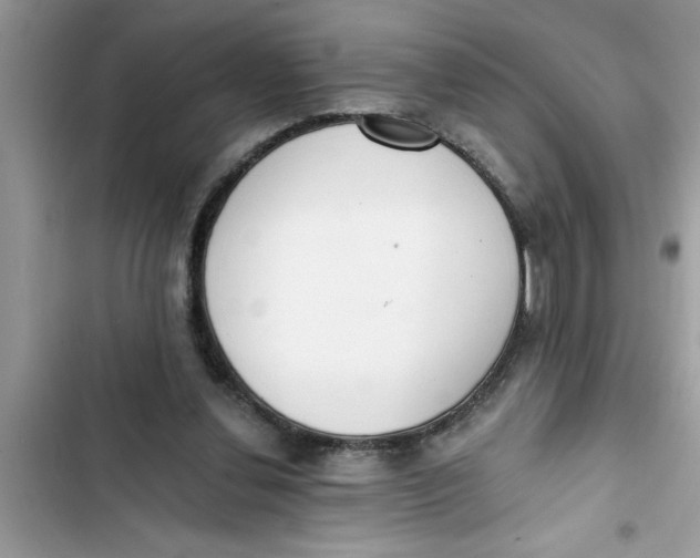 X0000103260252200809191725