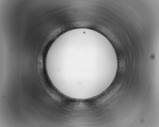 X0000103260254200809191725