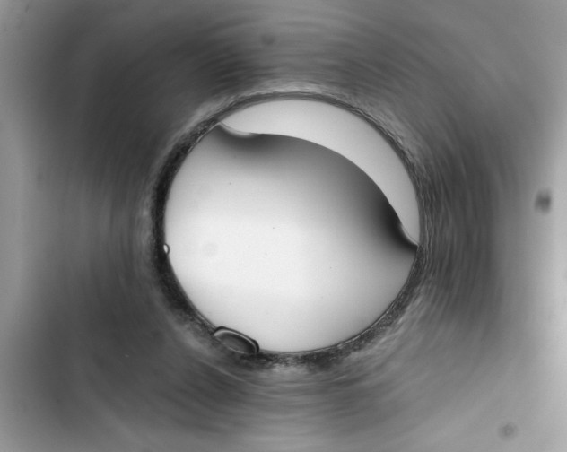 X0000103260256200809191725