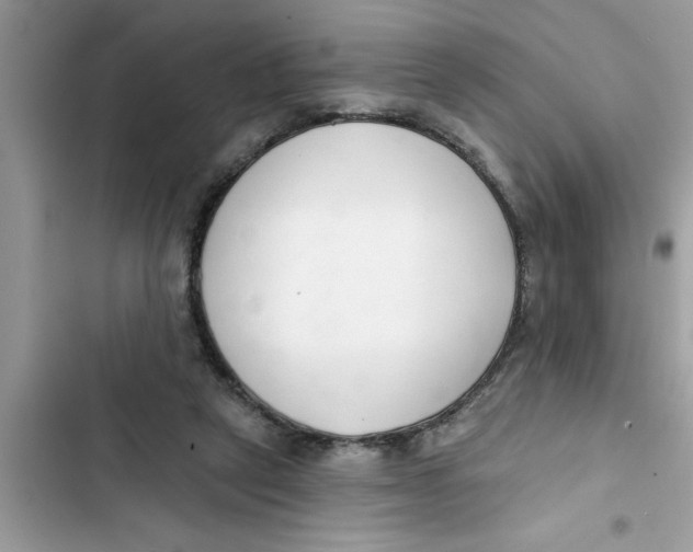 X0000103260257200809191725