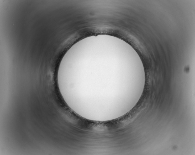 X0000103260258200809191725