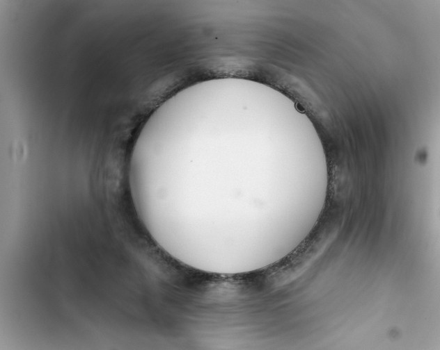 X0000103260259200809191725