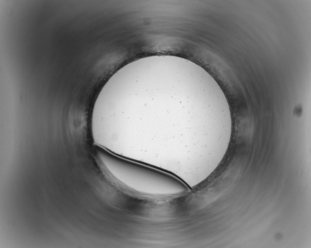 X0000103260260200809191725