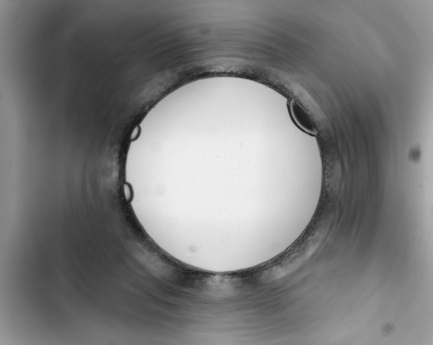 X0000103260261200809191725