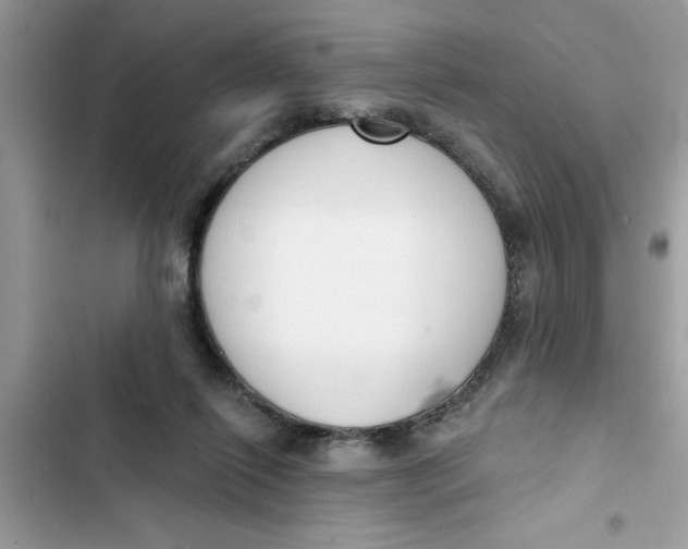 X0000103260262200809191725