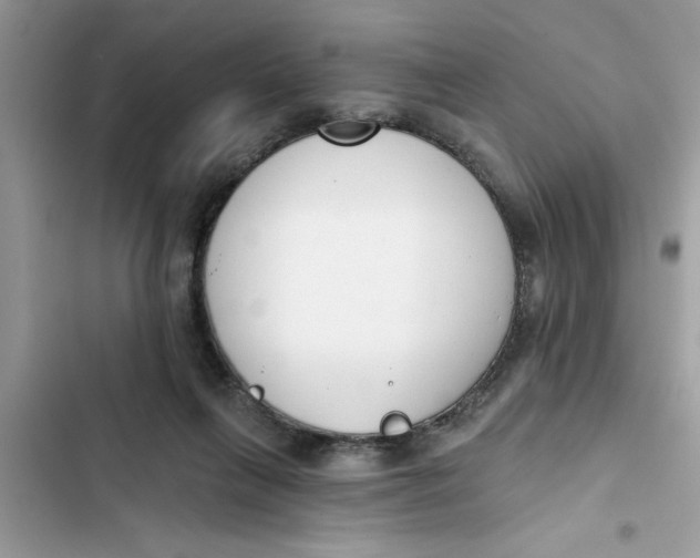 X0000103260263200809191725