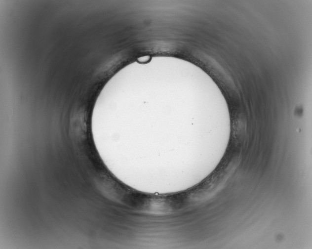 X0000103260264200809191725