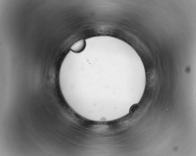 X0000103260266200809191725