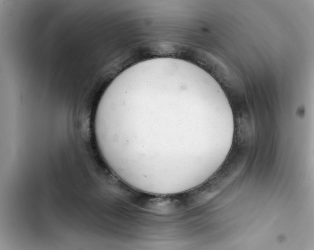 X0000103260267200809191725