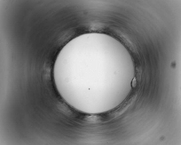 X0000103260269200809191725