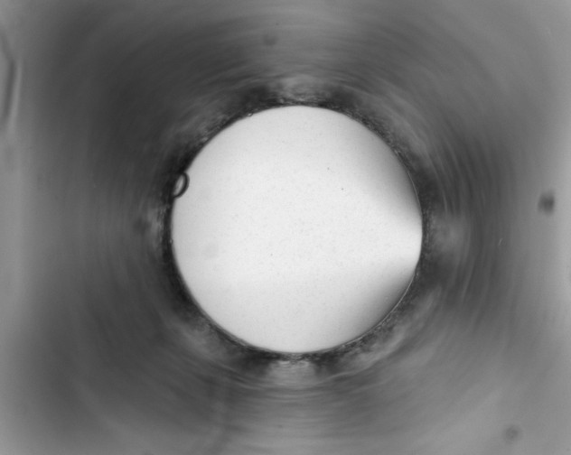 X0000103260271200809191725