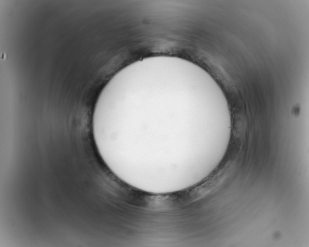 X0000103260273200809191725