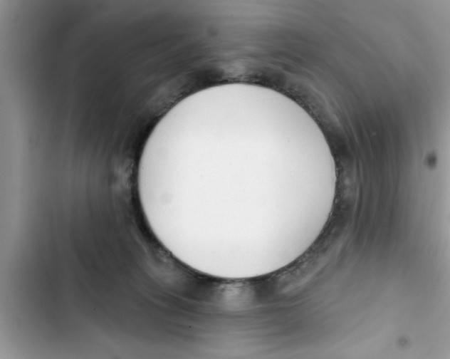 X0000103260275200809191725