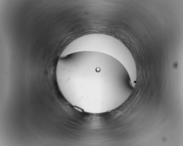 X0000103260276200809191726