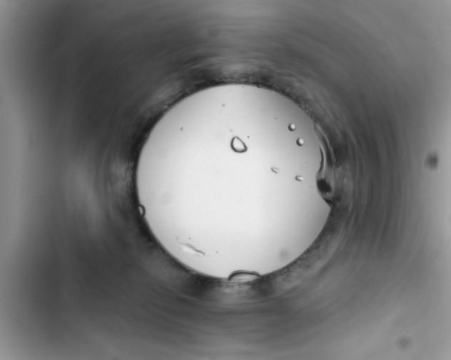 X0000103260278200809191726