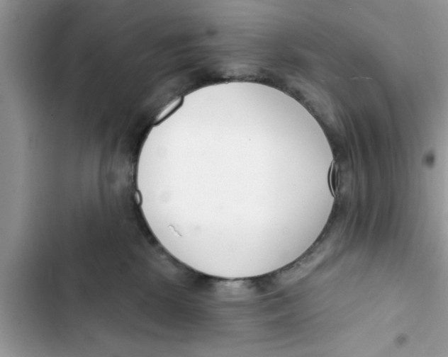 X0000103260281200809191726