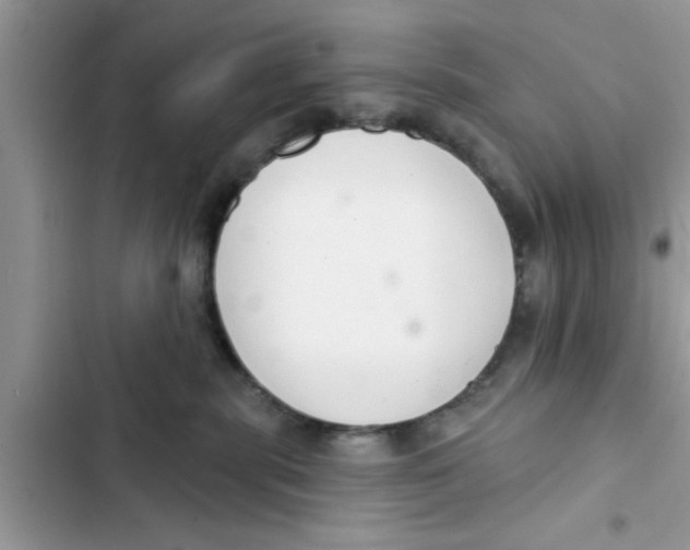 X0000103260283200809191726