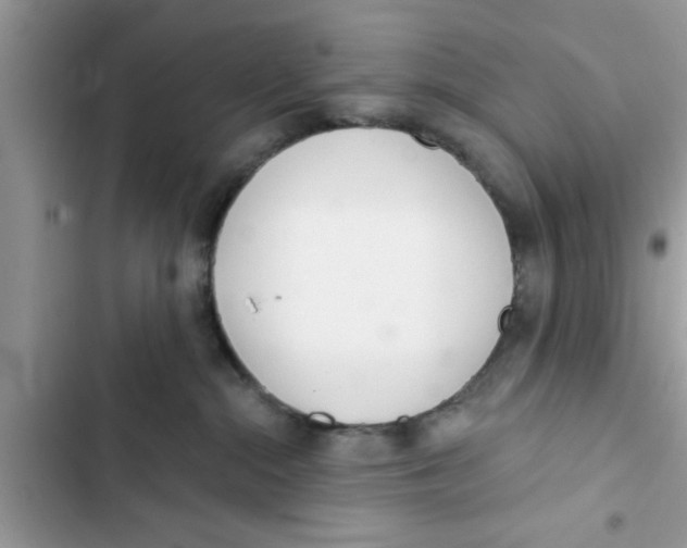 X0000103260284200809191726