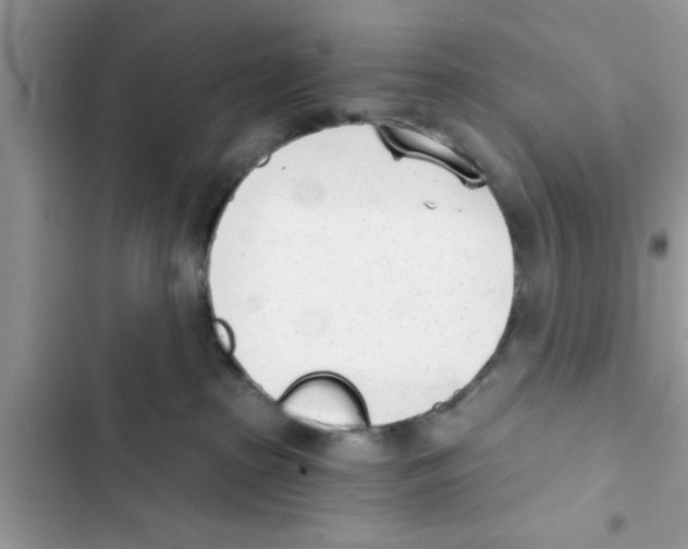 X0000103260285200809191726