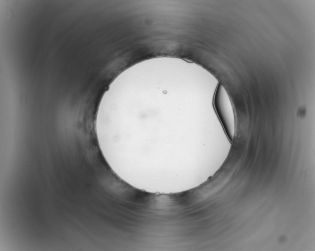 X0000103260287200809191726