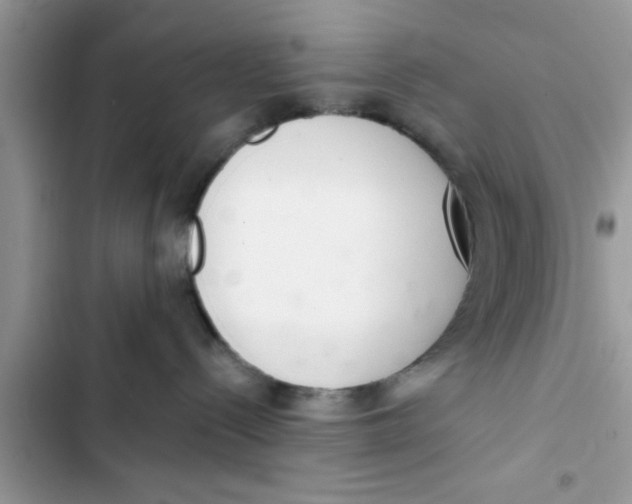 X0000103260288200809191726