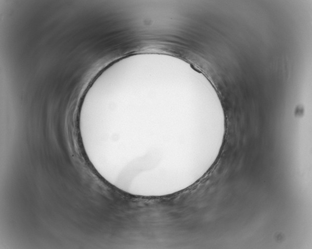 X0000103260289200809191725