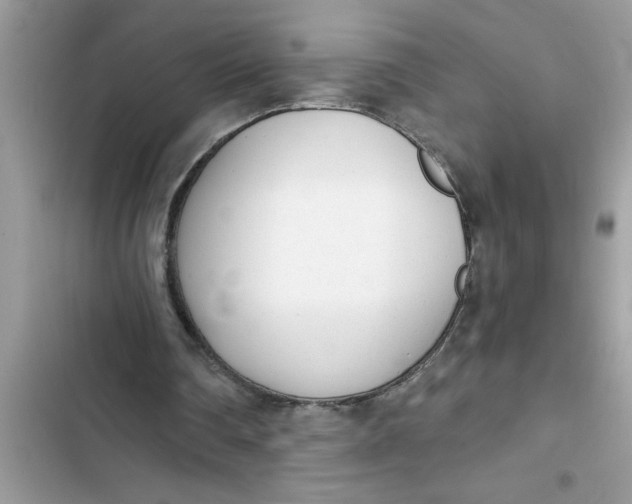 X0000103260290200809191725