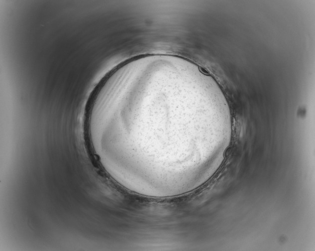 X0000103260292200809191725