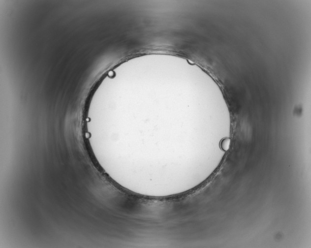 X0000103260293200809191725