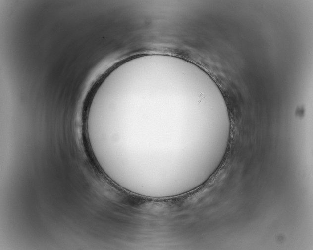 X0000103260294200809191725