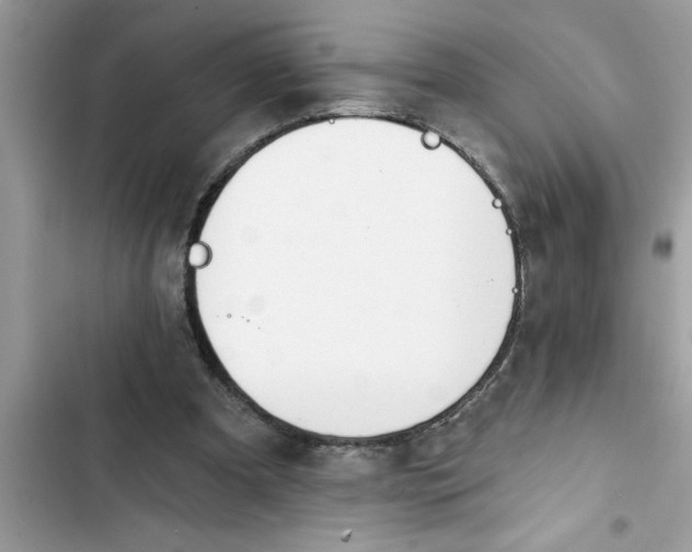 X0000103260297200809191725