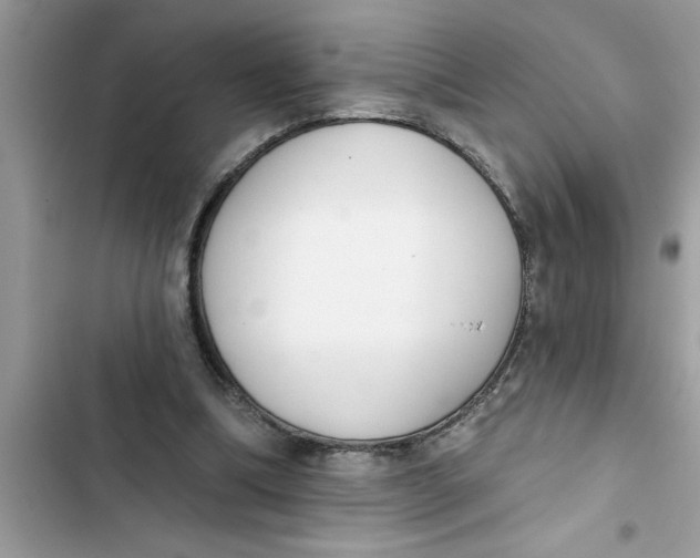 X0000103260298200809191725