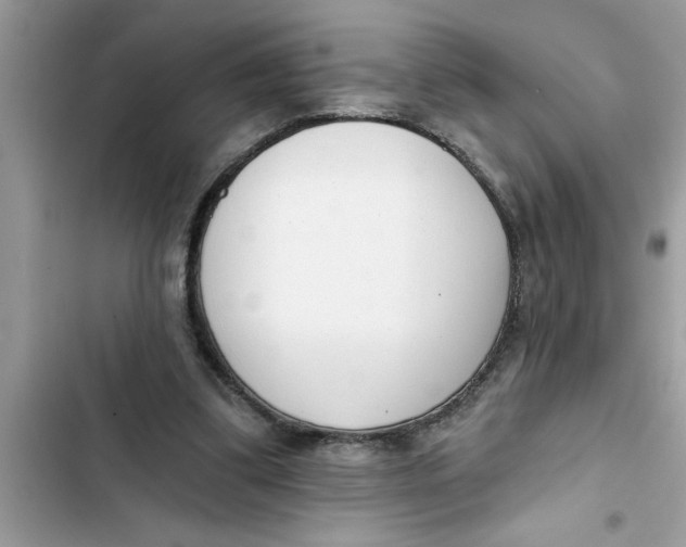 X0000103260299200809191725