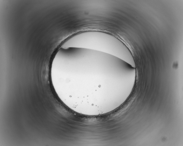 X0000103260301200809191725