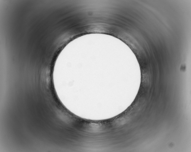 X0000103260302200809191725