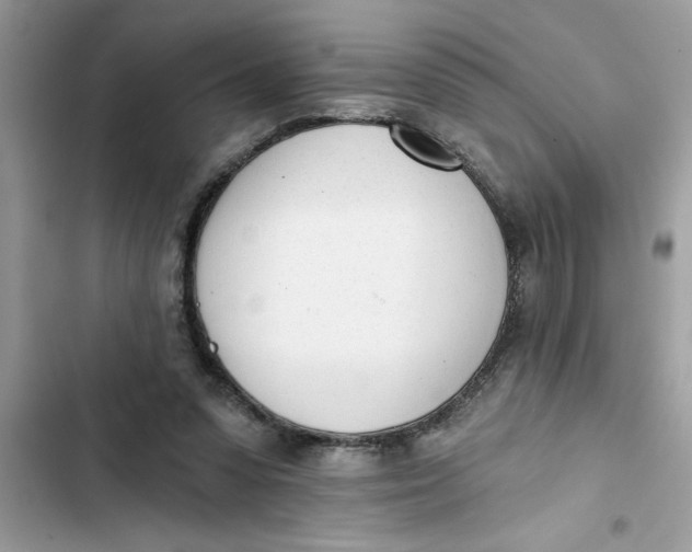 X0000103260303200809191725