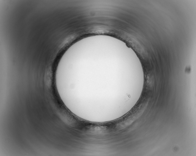 X0000103260304200809191725