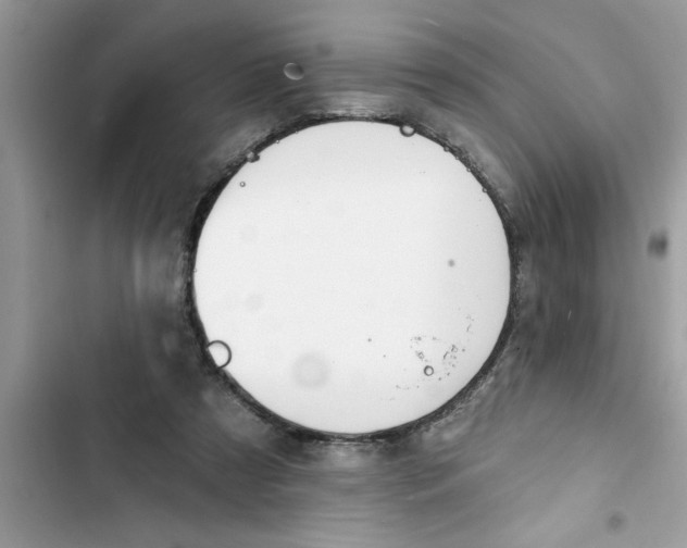 X0000103260305200809191725