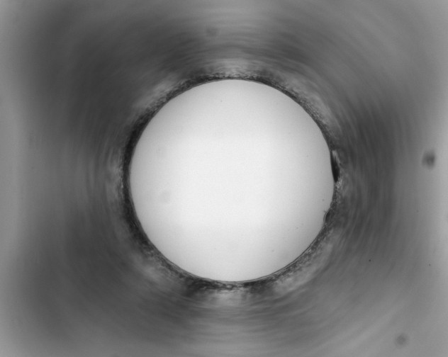 X0000103260306200809191725