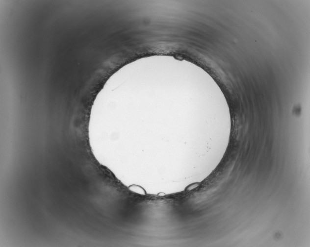 X0000103260307200809191725