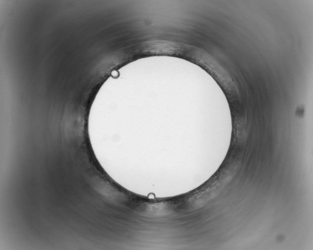 X0000103260309200809191725