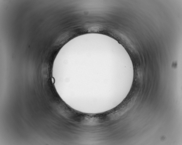 X0000103260311200809191725